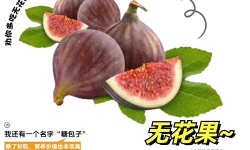 拔火罐的禁忌症包括多选-拔火罐的禁忌症有哪些,中国拔火罐的禁忌症网站